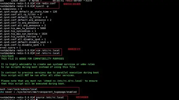 Redis启动 命令行技巧：Redis如何查看命令行启动参数与redis查看启动命令行方法