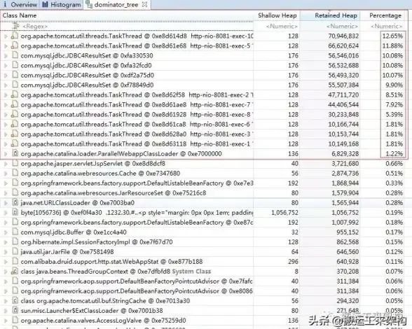 实用进阶丨揭秘高效Minidump应用与内存泄漏追踪—开发保障 技术洞察 