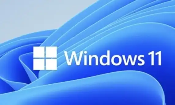 最新行情💻dell电脑win11版本价格更新，购机参考必看指南