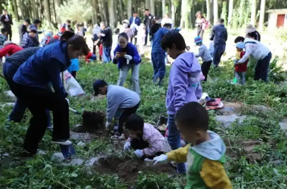 前瞻｜数据安全速递！土豆服务器丢失预警全梳理，运维人必备风险指南！重磅关注】