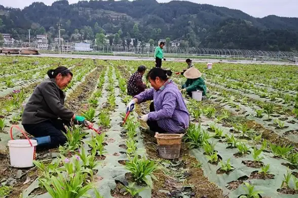 数据库运维🚀分区表损坏排查、修复及优化全流程实用指南