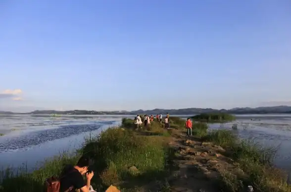 《无限暖暖》中涟漪之窖详细位置及获取攻略解析》