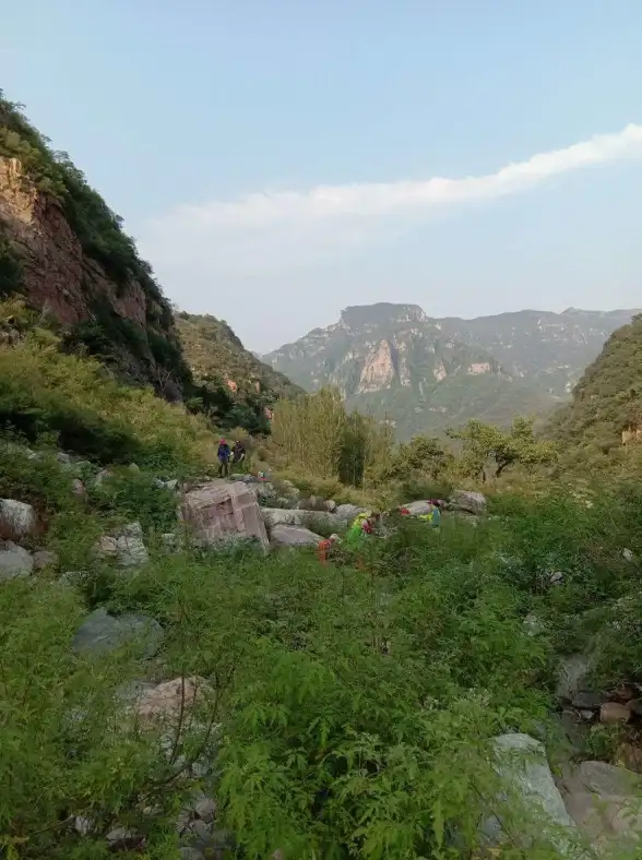 麒麟芯片🚀性能解析：华为麒麟处理器天梯图对比与选购建议