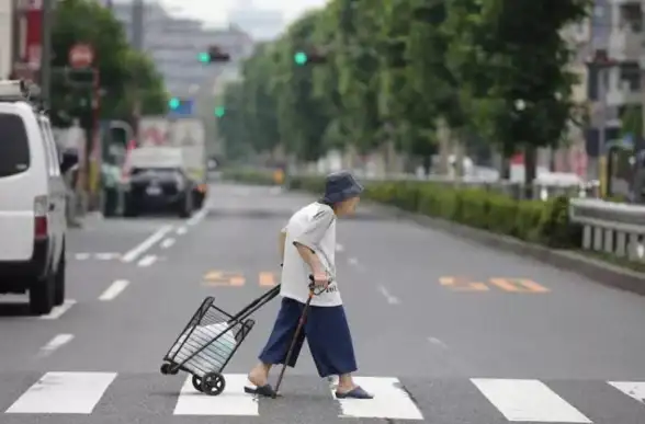 生活攻略✦品质提升✦独居指南 深度解读《我独自生活》超实用秘籍！