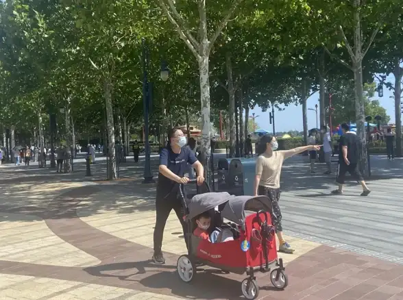 服务器管理|数据库维护 服务器数据库暂停操作指南，如何临时停止服务器的数据库运行
