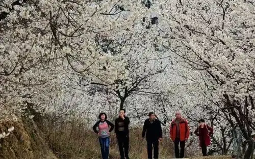 云计算-高可用,低延迟云主机—湖北十堰多运营商接入