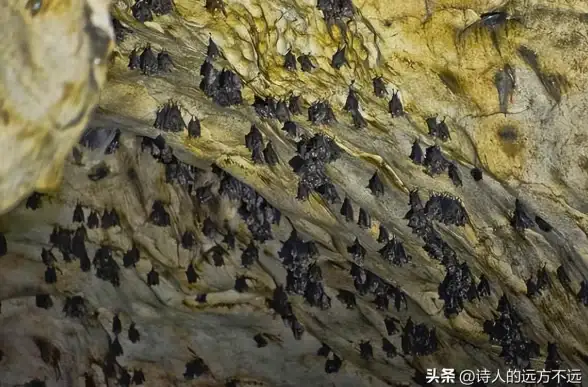 🔥异世界探秘#全新礼包✦异世界慢生活新手必备兑换码速领攻略