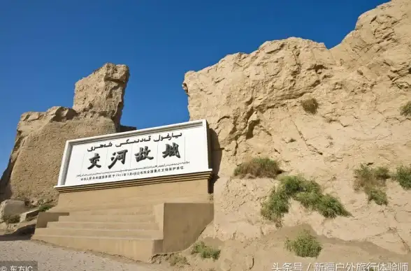 健康秘籍◆体力提升◆生活美学：我独自生活》教你用饮食锻炼激活体力上限！