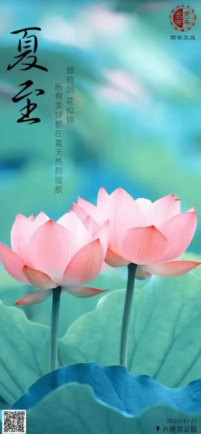 服务器租用,高性能-辽宁沈阳服务器租用，宵云网络打造高速在线体验