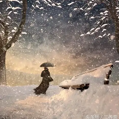 游戏攻略🔥神仙道伙伴达到哪个等级才能进化成神仙？