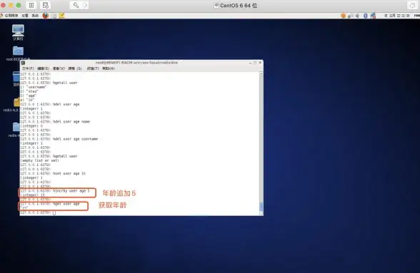 分布式锁 Redis 分布式锁发展历程与缺陷深度解析