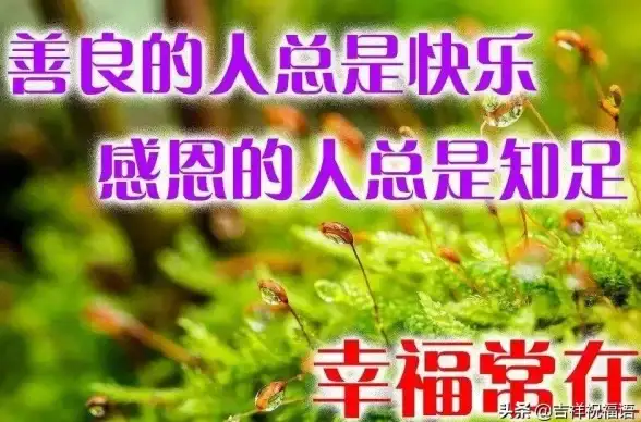轻薄本💻高效体验，畅享高效办公与娱乐，14寸轻薄便携笔记本助力你的每一天