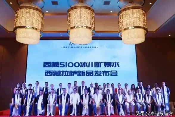 CDN加速,云服务-鹏博士机房为拉萨CDN提供的增值服务