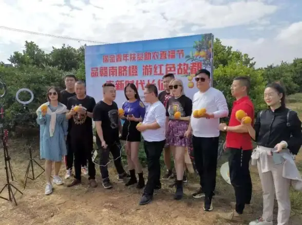 视角 决胜网络速度｜抖音服务器主页极速优化全指南—互联网技术必备【精选推荐】