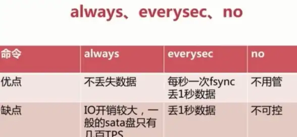Redis 持久化 Redis数据全盘持久化落地实践，硬盘存储实现方法解析