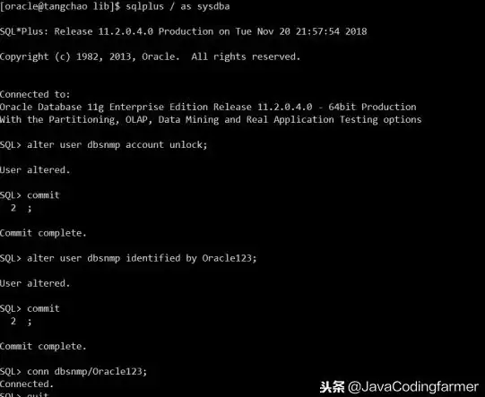 数据库管理|远程操作 远程SQLPLUS连接数据库实用技巧，掌握远程sqlplus高效连接数据库方法