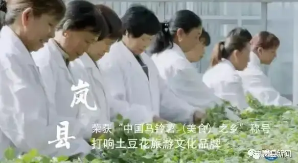 云计算热议｜土豆服务器性能瓶颈全解析：企业加速必读锦囊【速度优化】