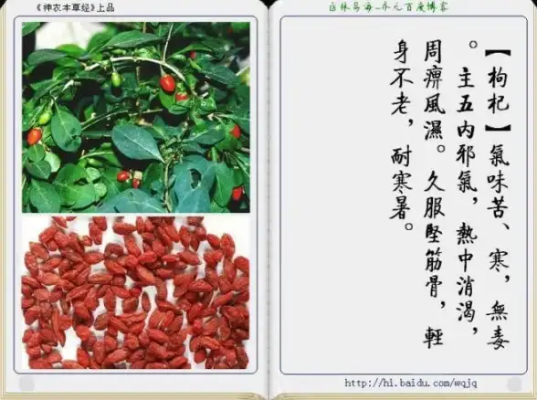 🔥干货分享🔥技巧提升🔥模型涂装师必备核心任务全解析