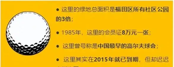 🔥惊爆迷雾大陆法师最强流派揭秘震撼技巧