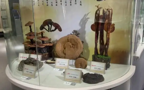 云计算,数据安全-企业选用棉花云新乡机房的服务优势