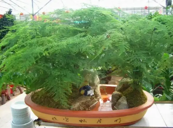 我独自生活小花前置故事触发条件与详细攻略解读