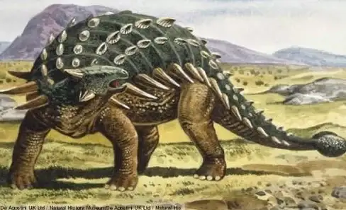 猎人⚔恐龙🦖必备秘笈：怪物猎人打恐龙最强装备揭秘