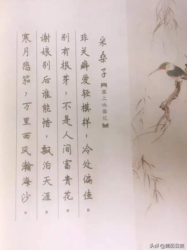 角色攻略✦速成秘籍✦奖励解析 天涯明月刀手游花的姿态快速达成全教程