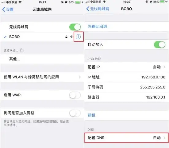 【高效上网】DNS服务器查询秘籍大公开！让你的网速瞬间飙升 科技速递