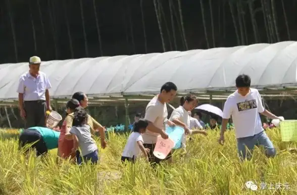 CDN优化,多运营商布局-多运营商布局丽水，优化数掘科技CDN覆盖范围