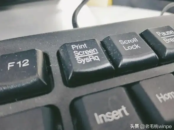 截图技巧✨电脑截屏有妙招，教你用快捷键轻松满足各种截图需求