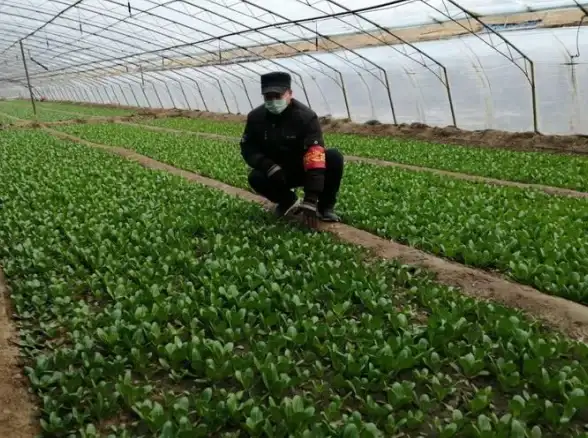 户外照明🔦手电筒的选择与使用技巧分享：如何挑选高效实用款