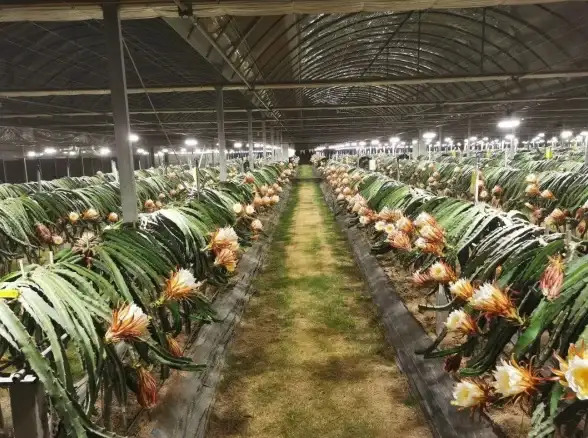 热门🔥亲子游戏 益智玩法 9岁男孩2025年必玩精选推荐