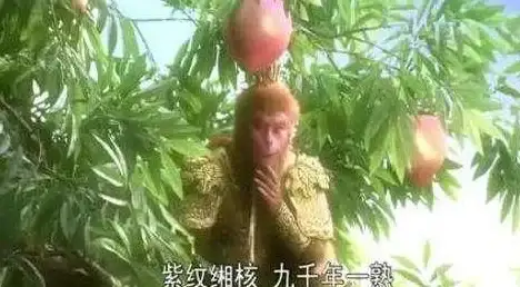 🔥游戏攻略🔥神话探秘🔥黑神话悟空紫纹缃核位置详解及最快获取技巧！