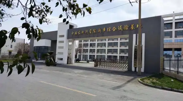 云计算-高性能网络,河南新乡棉花云服务器，三网高速接入