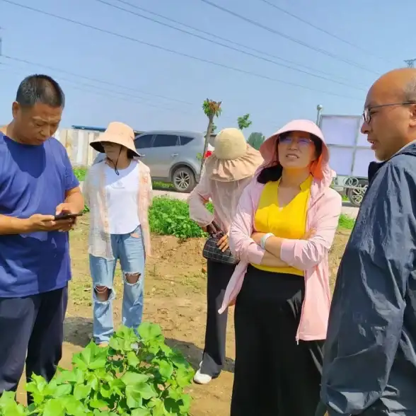 云计算-高性能网络,河南新乡棉花云服务器，三网高速接入