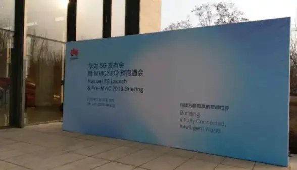 云服务器,网络优化-俄罗斯云主机方案，NTT线路运维建议