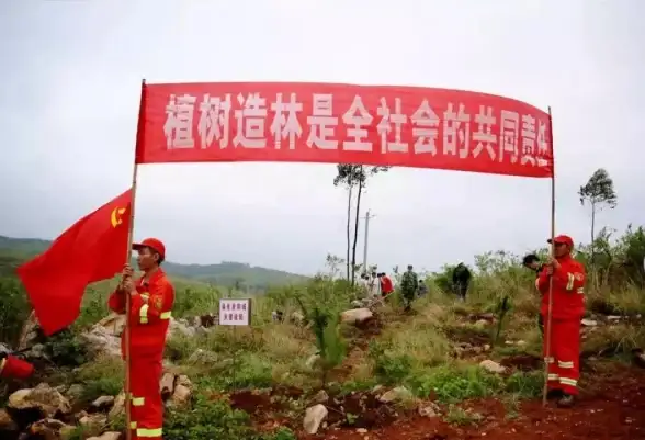 生存攻略◆技巧分享◆必看 明日之后墙壁移动全解+高效条纹对齐秘诀揭秘