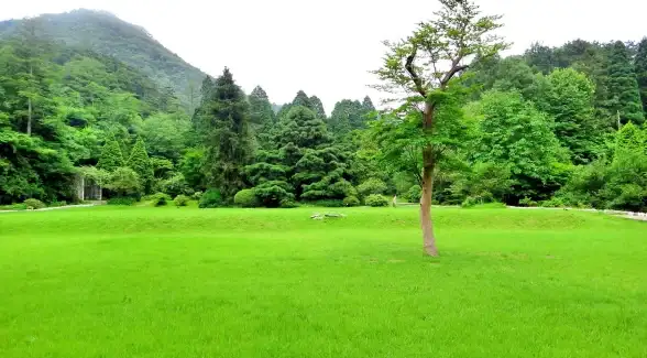 策略📌技巧📈猫之城前期体力高效合理使用指南