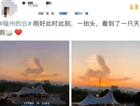 高防护,多线接入-福州本地云彩网络机房，高防护航电信联通移动