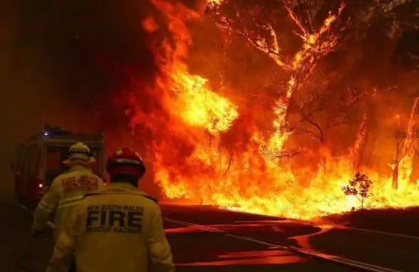 游戏攻略🔥吸血鬼幸存者全棺材位置详解指南