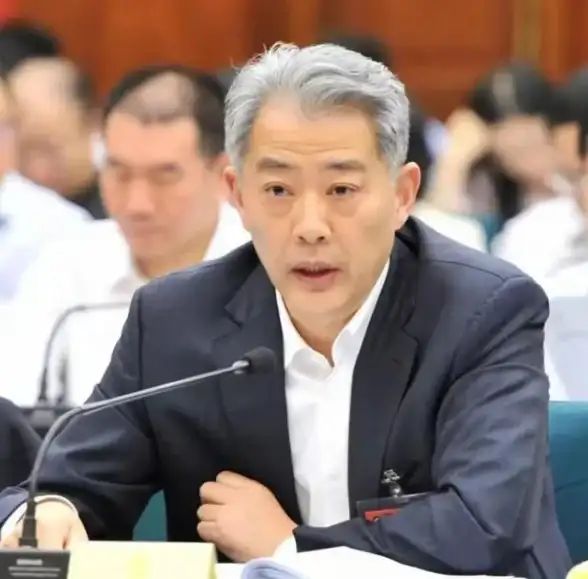 【云端开发必备】丨VS插件源码揭秘与合规实战技巧—提升开发高效合规力