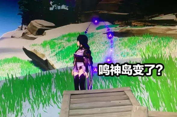 原神同一片土地任务全流程详解与隐藏要素揭秘