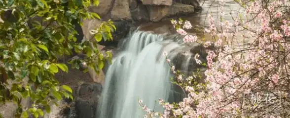 ✨独家攻略✨资源优化·效率提升丨《原神》莉莱挑战通关全解析！