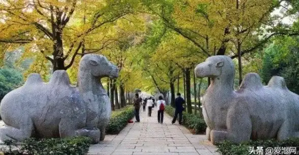 团队协作💥帝陵副本攻略🔥烟雨江湖百级后高效刷副本技巧