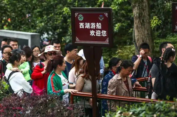 成长秘籍🔥进阶指南 梦想新大陆宝宝终极进化融合攻略