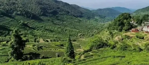 交通优化,企业服务-绍兴本地高速专线方案为企业加速