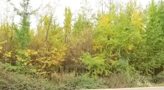 大带宽,多用户 多用户高带宽需求必看，成都随风云大带宽特色