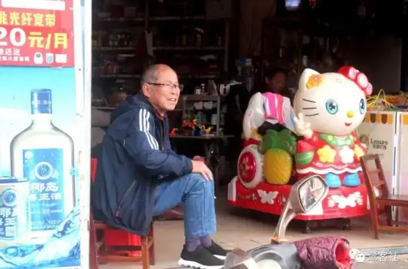 《桃源深处有人家》宫里世界联动趣味指南与玩家体验分享