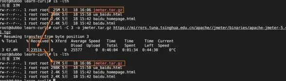 实用技能速递｜curl批量下载新姿势—Linux文件下载全流程指南【软件开发】