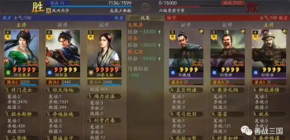 策略攻略⚔角色解析🔍独家揭秘《三国杀》SP蔡文姬独特技能机制与制胜技巧